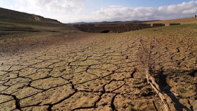 Los embalses de Málaga siguen en una situación "alarmante": al 15% de capacidad