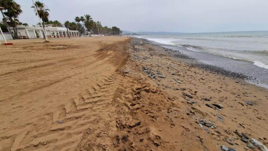 Indignación entre empresarios por la regeneración de la playa de San Pedro