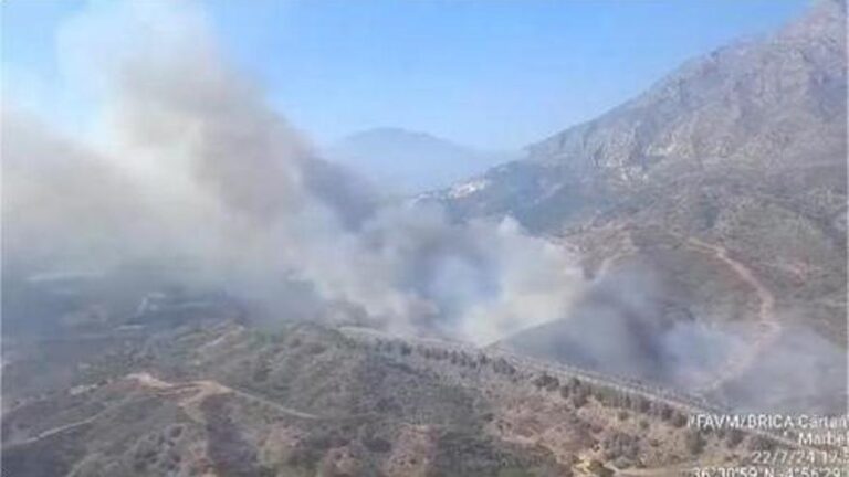 Declarado un incendio forestal en Marbella