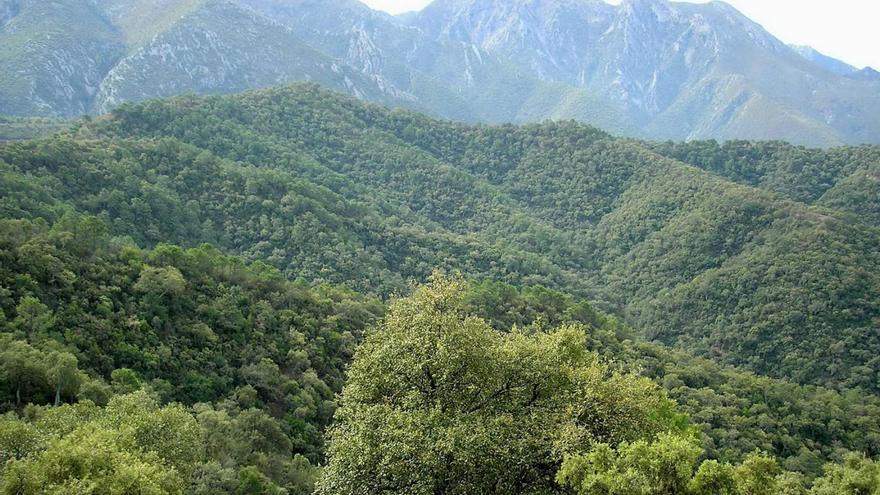 La Sierra de las Nieves homenajea a ocho mujeres rurales