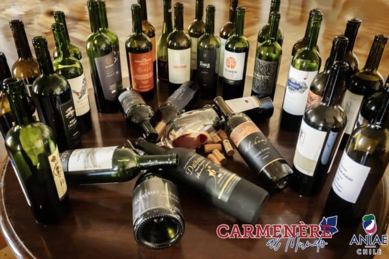 El Concurso de Cócteles BACARDÍ Legacy |