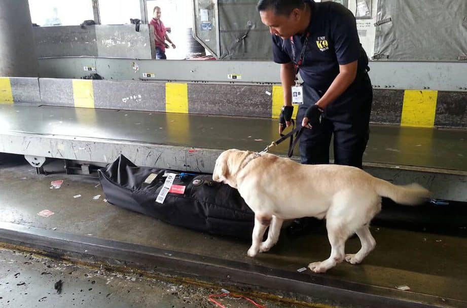 Identificadas nuevas rutas de narcotráfico y métodos de contrabando en...