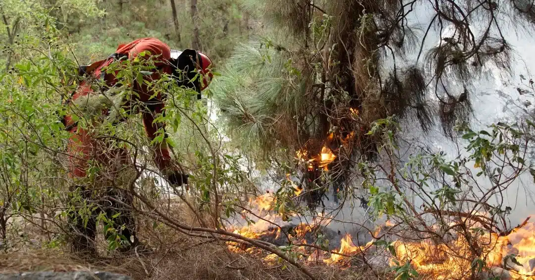 Alerta por riesgo de incendio forestal en la provincia de Santa ...