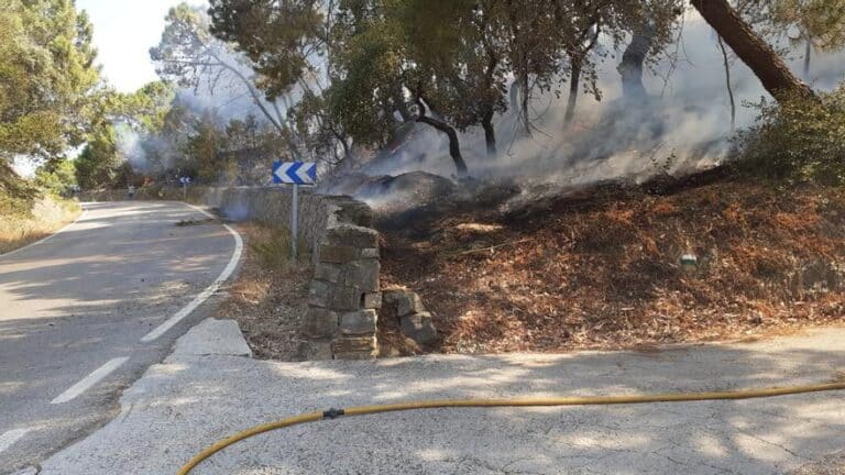Dos incendios forestales activan al Infoca en Ronda y Casares