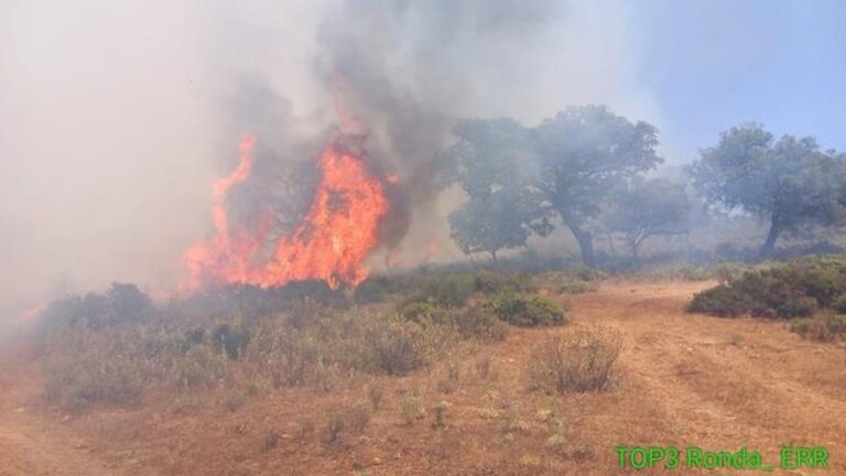 Declarado un incendio forestal en Ronda
