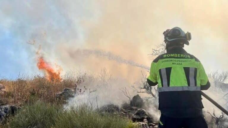 Estabilizado un incendio forestal en Periana